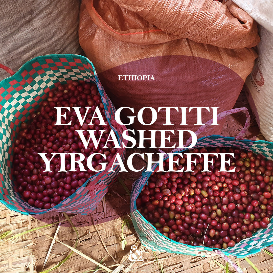 Eva Gotiti Washed Yirgacheffe