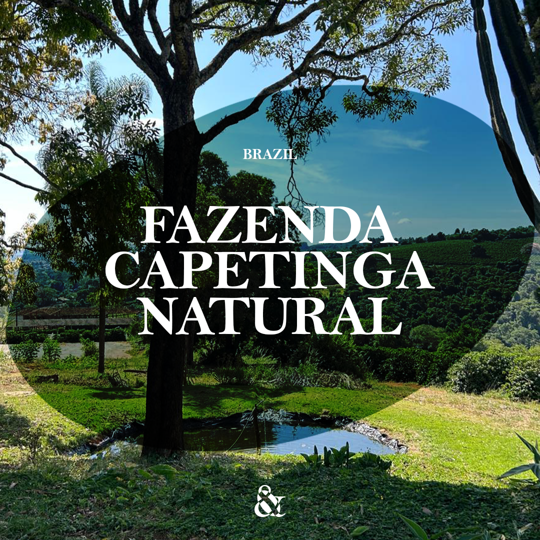 Fazenda Capetinga Natural