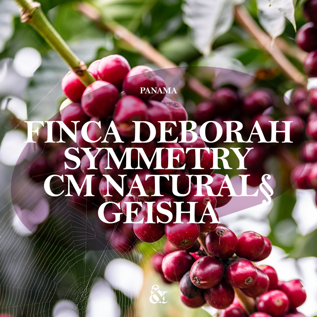Finca Deborah Symmetry Carbonic Natural Geisha