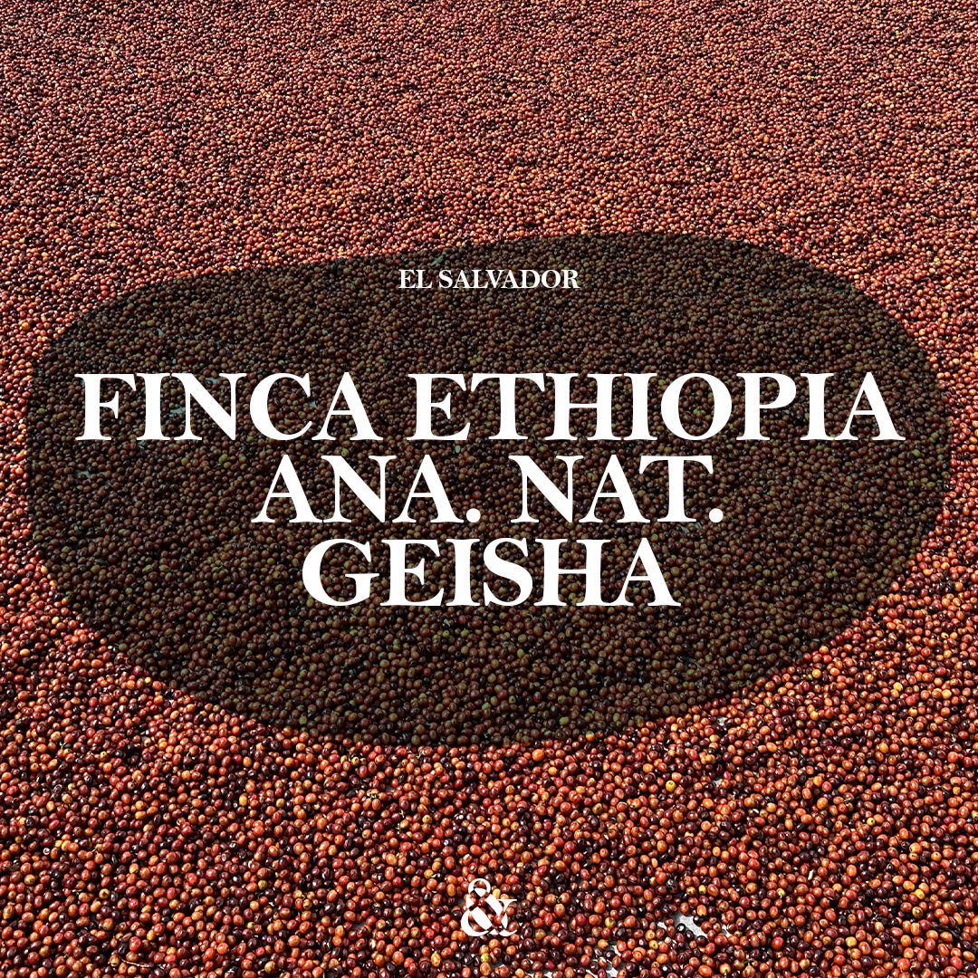 Finca Ethiopia Anaerobic Natural Geisha