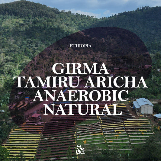 Girma Tamiru Aricha Anaerobic Natural