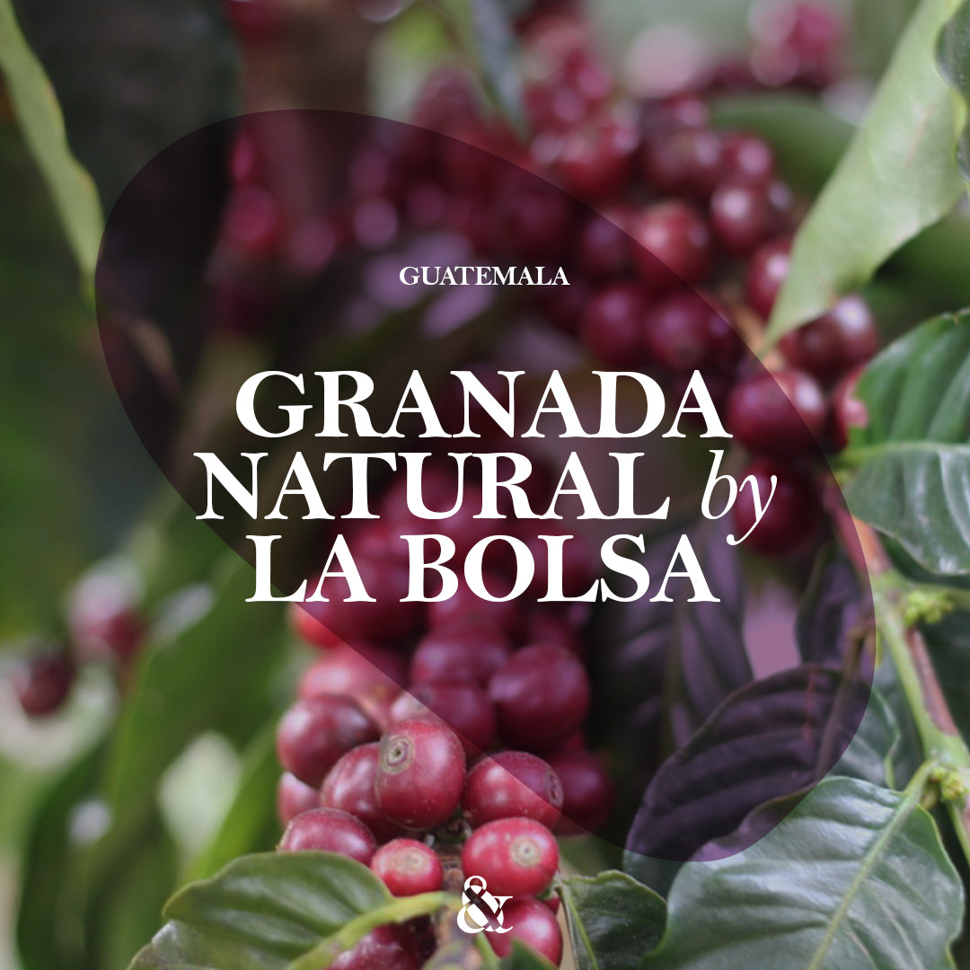 Granada Natural by La Bolsa