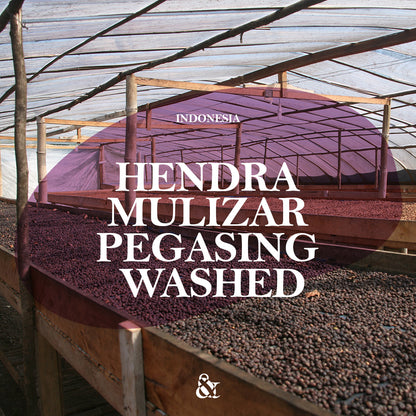 Hendra Mulizar Pegasing Washed