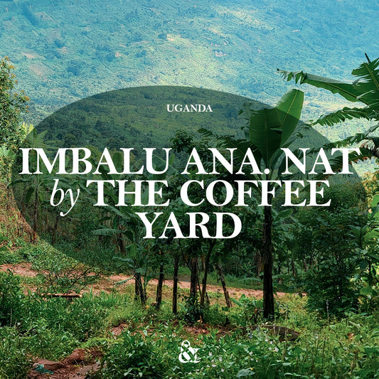 Imbalu Anaerobic Natural by The Coffee Yard