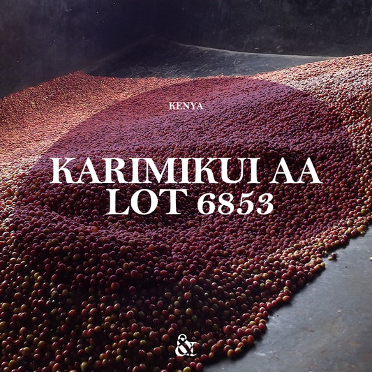 Karimikui AA Lot 6853