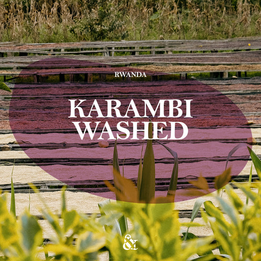 Karambi Washed