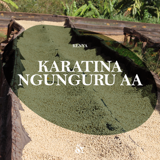 Karatina Ngunguru AA