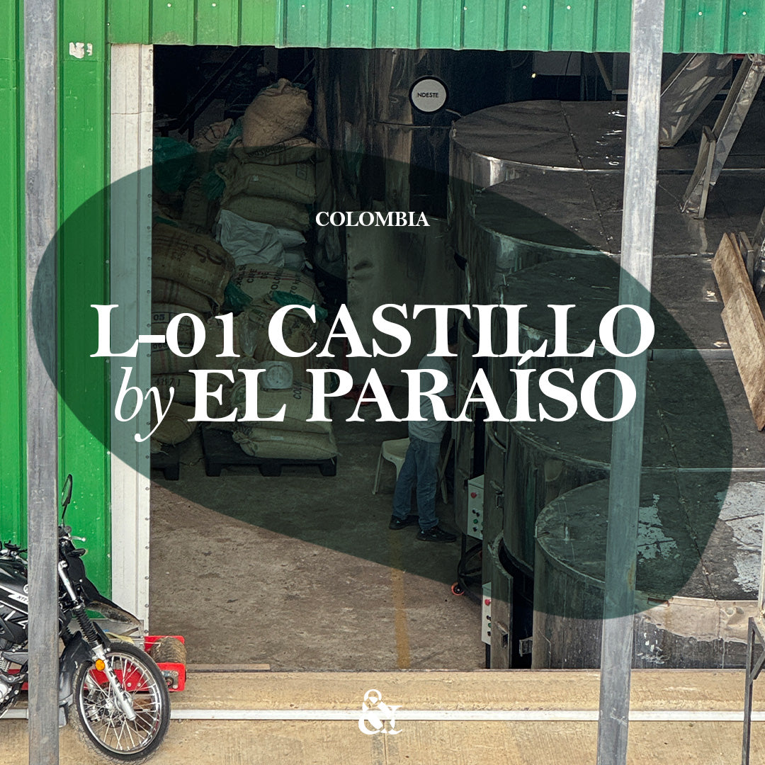 L-01 by El Paraíso