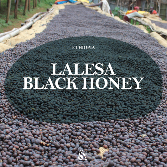 Lalesa Black Honey