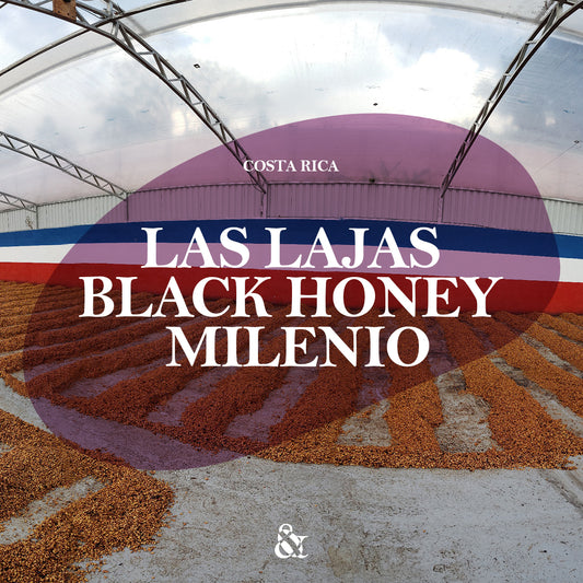 Las Lajas Black Honey Milenio