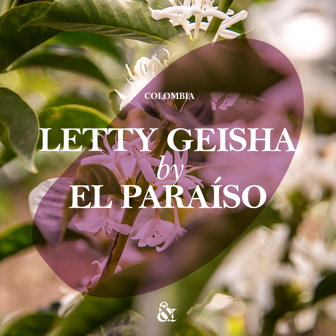 Letty Geisha by El Paraíso