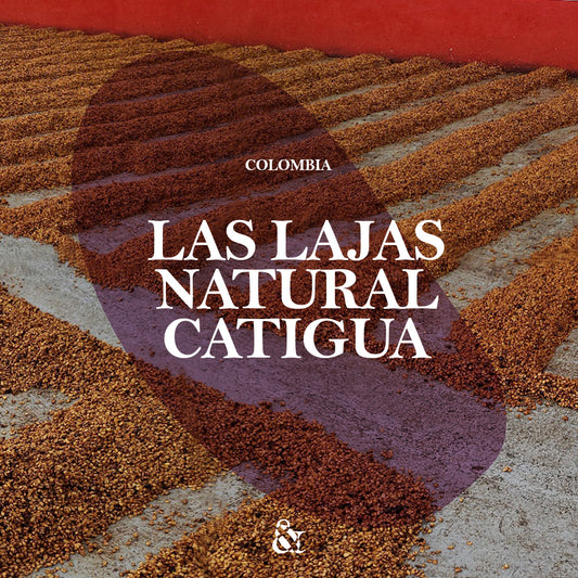 Las Lajas Natural Catigua