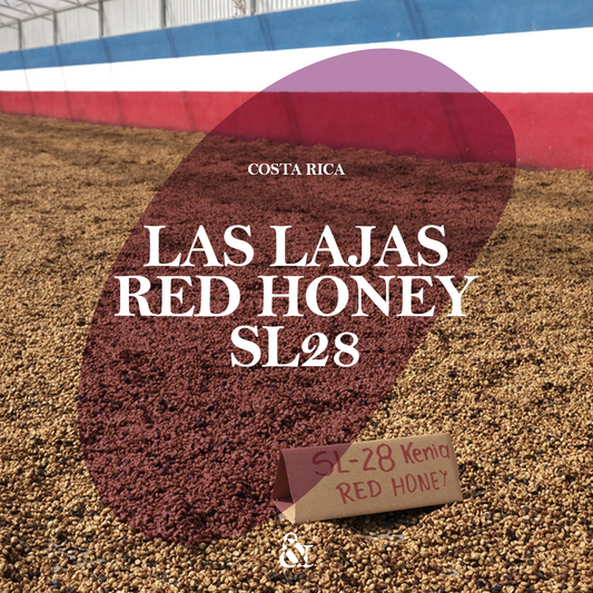 Las Lajas Honey SL28