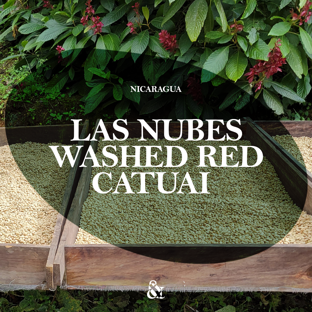 Las Nubes Washed Red Catuai