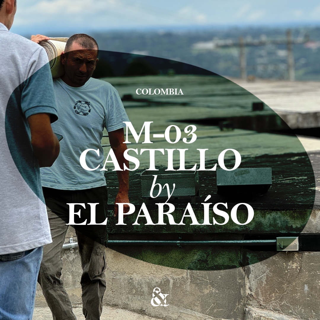 M-03 Castillo by El Paraíso