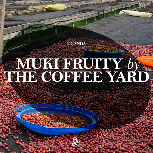 Muki Fruity by The Coffee Yard