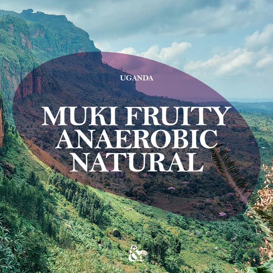 Muki Fruity Anaerobic Natural