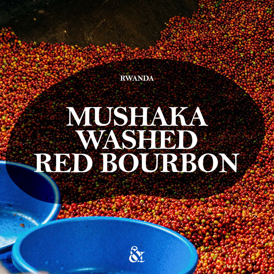 Mushaka Washed Red Bourbon