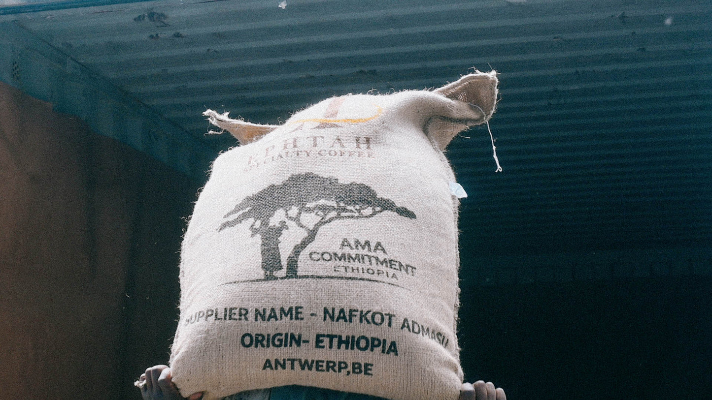 Nafkot Admasu Idido Natural Yirgacheffe | Green coffee supply South Africa