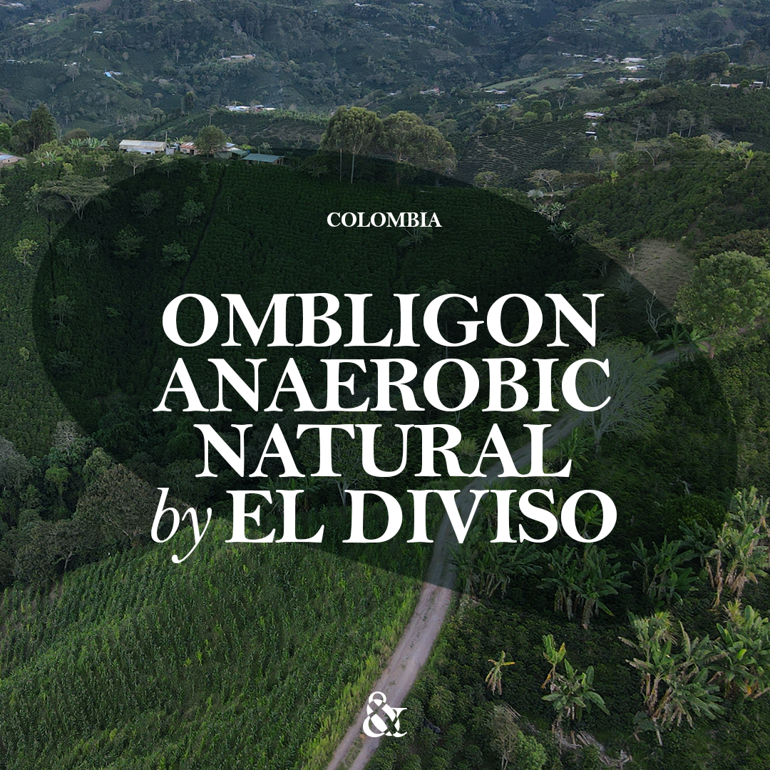 Ombligon Anaerobic Natural by El Diviso