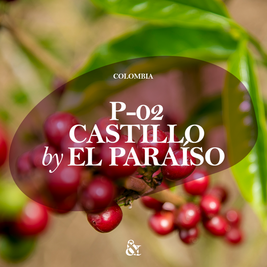 P-02 Castillo by El Paraíso