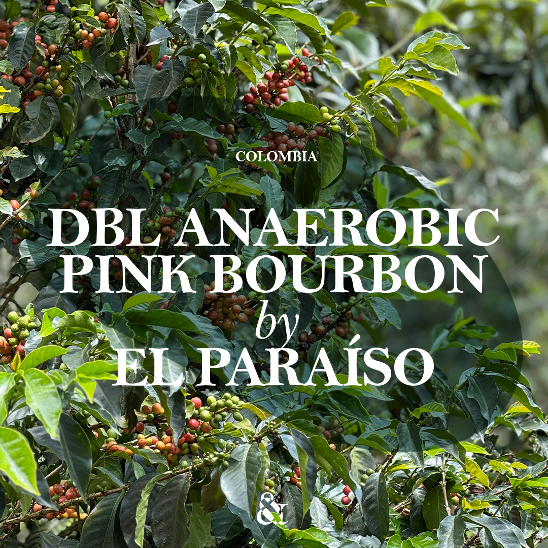 Dbl Anaerobic Pink Bourbon by El Paraíso