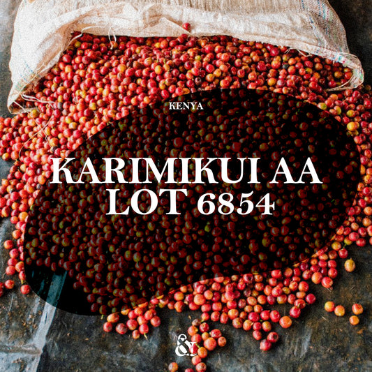 Karimikui AA Lot 6854