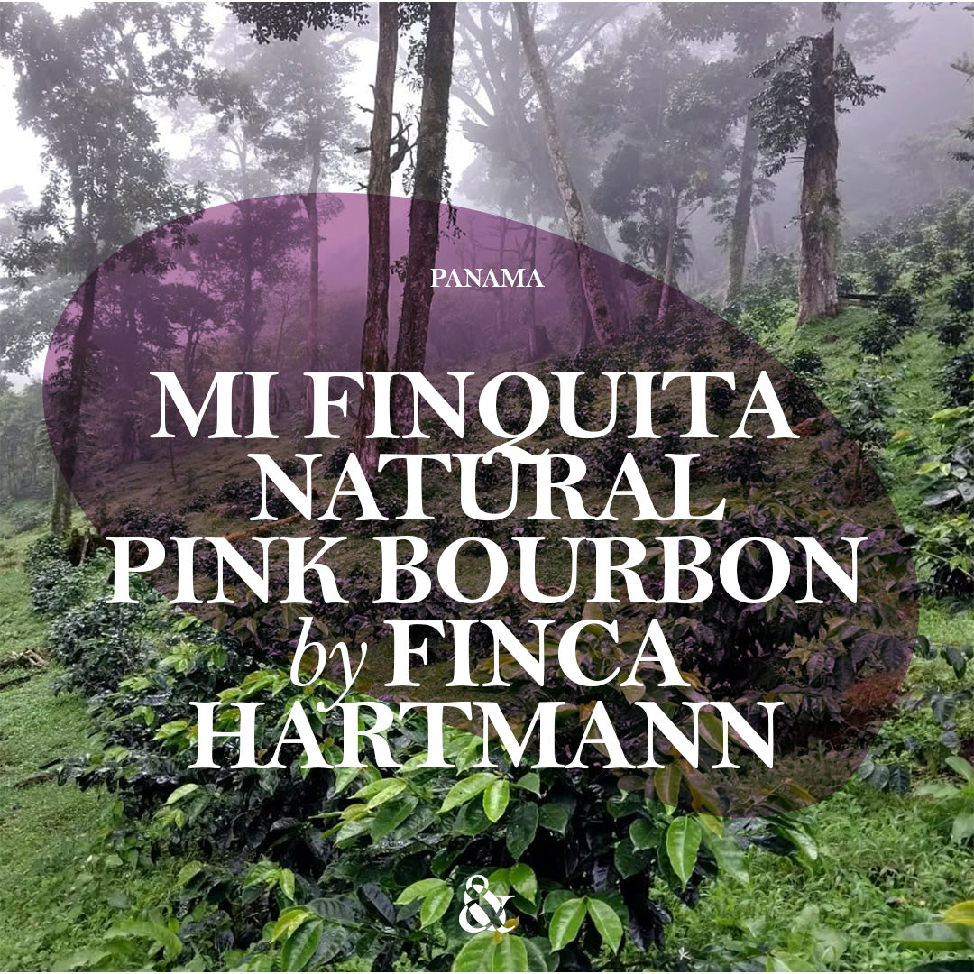 Mi Finquita Finca Hartmann