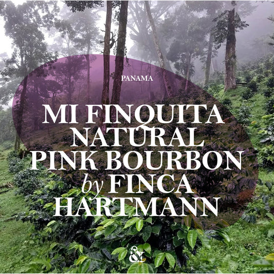 Mi Finquita Finca Hartmann