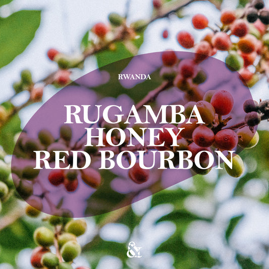 Rugamba Honey Red Bourbon
