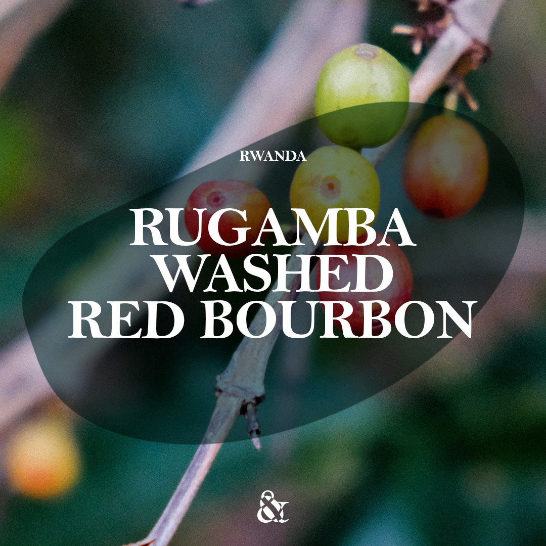 Rugamba Washed