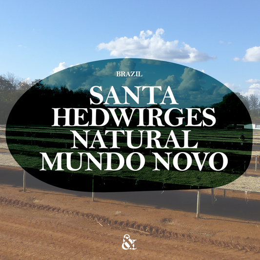 Fazenda Santa Hedwirges – Hugo Brito