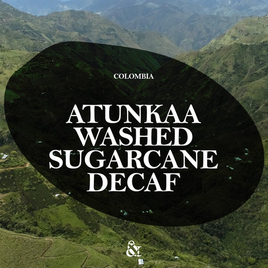 Atunkaa Washed Sugarcane Decaf