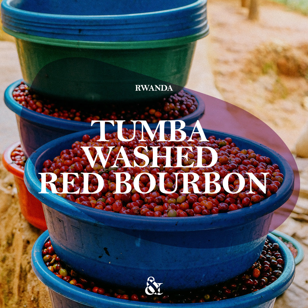 Tumba Washed Red Bourbon