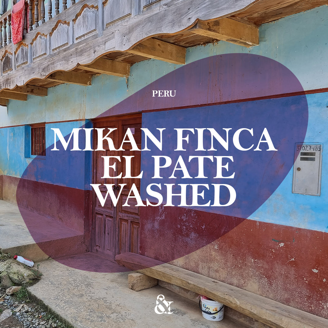 Mikan Finca El Pate Washed